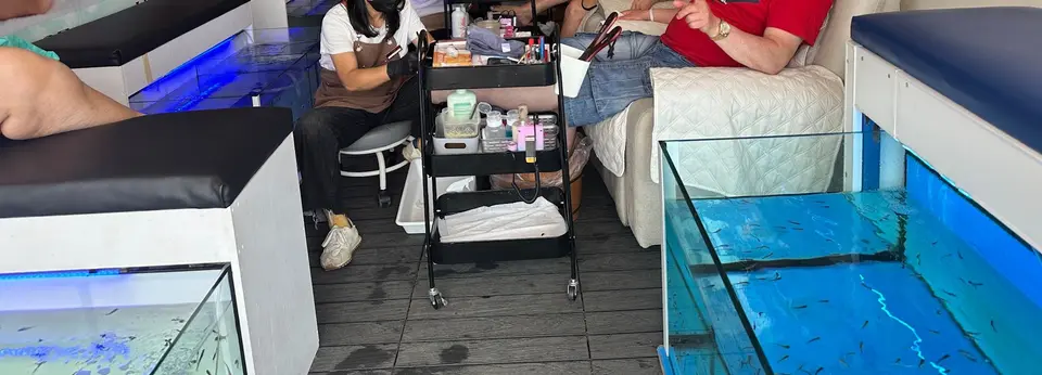 Fish spa en acción