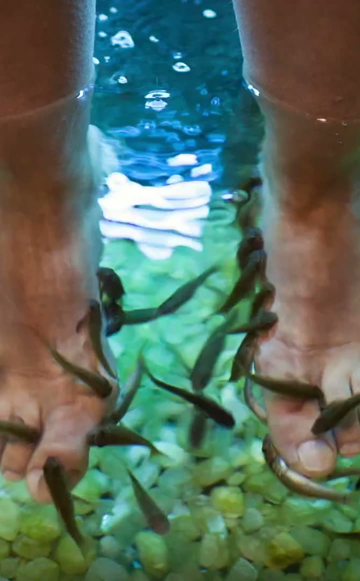 Pies en el fish spa con peces Garra rufa